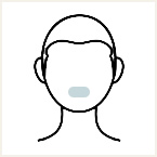 鼻下（鼻含む）